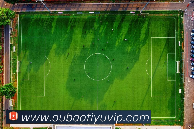 App Interface Preview