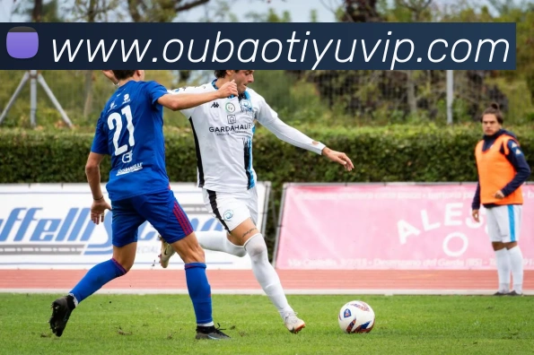 欧宝体育APP 封面图